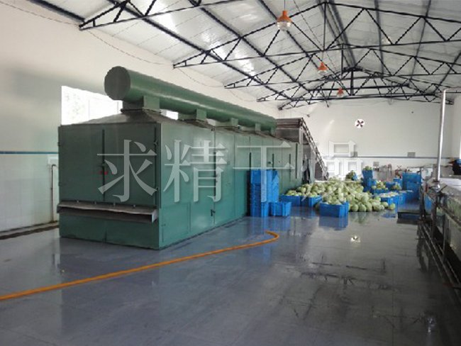 DW單層帶式干燥機(jī)