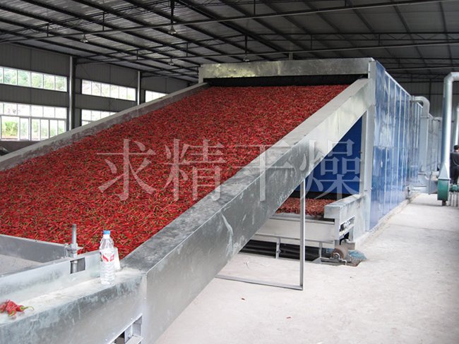 DWC系列脫水蔬菜帶式干燥機(jī)